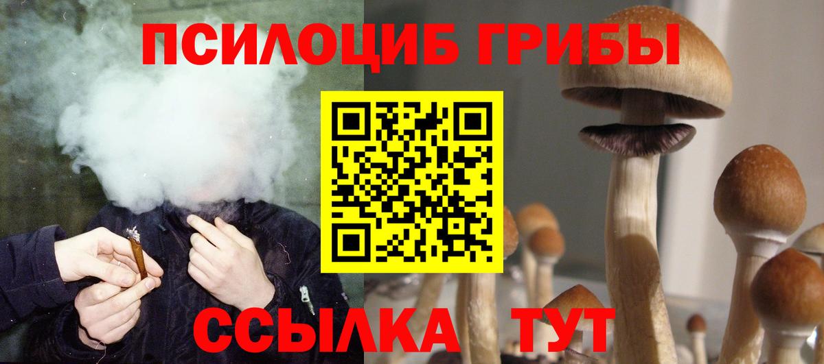 Псилоцибиновые грибы Magic Shrooms Ливны